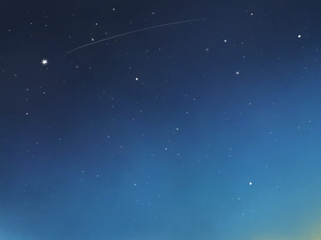 海月